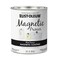 Rust-Oleum RustOleum 247596 Magnetic Primer 30 oz Black