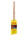 Purdy 144080510 XL Elite Series Dale Angular Trim Paint Brush 1 inch