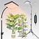 FECiDA 2026 Grow Lights with Stand Standing Grow Lights for Indoor Plants Bonsai Tree 48121620H Timer 25 Watt Power Draw NO Need Adapter Daisy Chain Function 2464 Height Adjustable