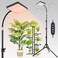 FECiDA 2026 Grow Lights with Stand Standing Grow Lights for Indoor Plants Bonsai Tree 48121620H Timer 25 Watt Power Draw NO Need Adapter Daisy Chain Function 2464 Height Adjustable