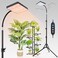 FECiDA 2026 Grow Lights with Stand Standing Grow Lights for Indoor Plants Bonsai Tree 48121620H Timer 25 Watt Power Draw NO Need Adapter Daisy Chain Function 2464 Height Adjustable