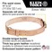 Klein Tools 5420XL Tool Belt HeavyDuty Rugged Leather Ironworker Belt XLarge
