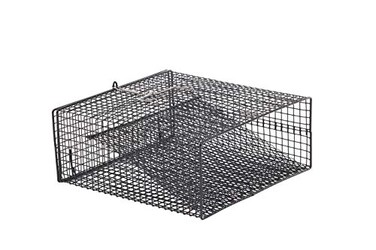 Frabill FlatBottom Crawfish Trap LowProfile Square Trap Specifically Designed for Crawfish