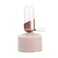 Fire-Maple Fire Maple Orange Camping Light Propane LampGas Lantern Glass Lampshade Windproof NO Mantles Needed Brightness Adjustable Heating Camping Atmosphere Bright Flames