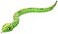 Robo Alive King Python by ZURU Frustration Free Packaging BatteryPowered Robotic Snake Interactive Kids Toys Giant Prank Snake Toy for Boys 31 Inches