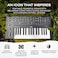 MOOG Messenger NextGen Monophonic Analog Keyboard Synthesizer with 32 Keys 64Step Sequencer 256 Presets and RES BASS Compensation