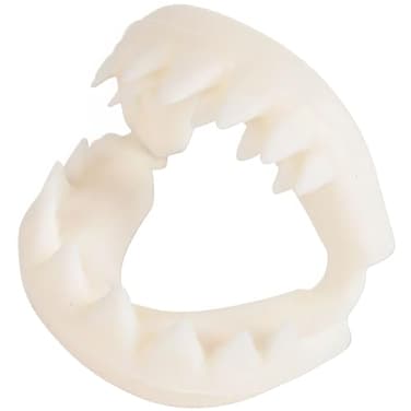 Rhode Island Novelty Great White Shark Teeth