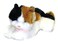 Aurora Interactive Hand Puppet Esmeralda Stuffed Animal Storytelling Adventures Playful Learning White 9 Inches