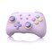 IINE Wireless Controller for SwitchPCAndroidIOS Cute Gamepad with RGB Lights Mini Pro Controller with TurboMacroNFC AmiiboMotion SensorWakeUpRumble Purple