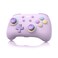 IINE Wireless Controller for SwitchPCAndroidIOS Cute Gamepad with RGB Lights Mini Pro Controller with TurboMacroNFC AmiiboMotion SensorWakeUpRumble Purple