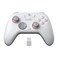 GameSir Nova Lite 2 Wireless PC Controller with Hall Effect Joysticks Triggers 24G Wired 1000Hz Polling Rate Remappable Buttons Compatible with PCSwitchSteamAndroid White
