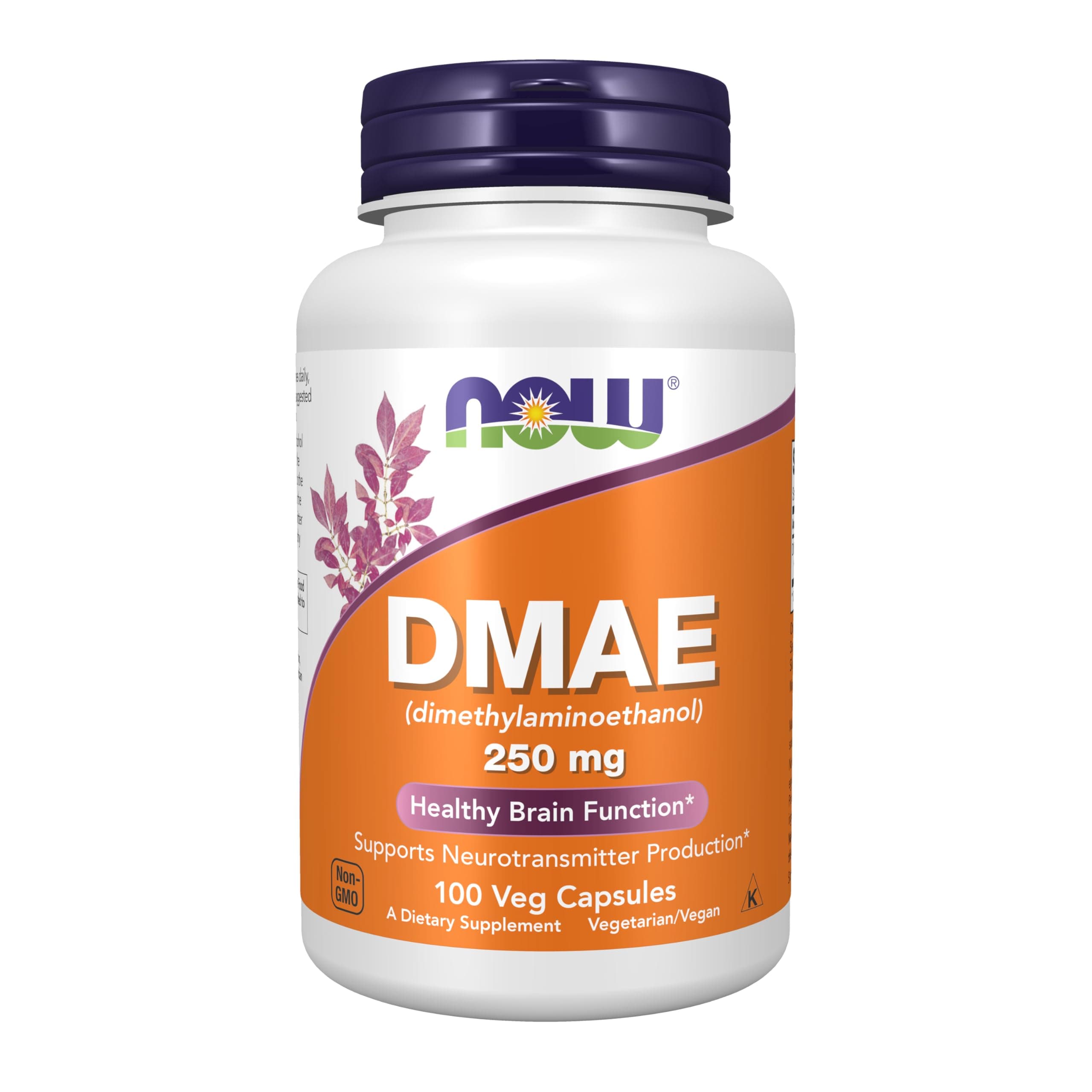 Buy NOW Foods NOW Supplements DMAE Dimethylaminoethanol 250 mg Healthy ...