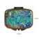 Dynippy Pill Case with MirrorLatch2CompartmentAVan Gogh Irises