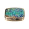 Dynippy Pill Case with MirrorLatch2CompartmentAVan Gogh Irises