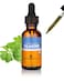 Herb Pharm Cilantro Extract Drops for Cleansing and Detoxification Support 1 Oz