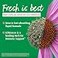 A.Vogel A Vogel Echinaforce Organic Echinacea Drops Immune Support 17 oz