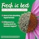 A.Vogel A Vogel Echinaforce Organic Echinacea Drops Immune Support 17 oz