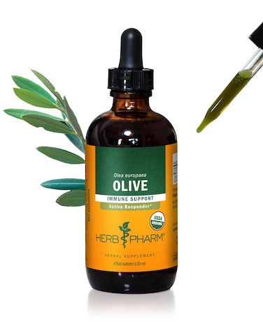 Herb Pharm Olive Leaf Liquid Extract Drops for Immune System Support 4 Oz