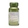 GNC Herbal Plus Huperzine A 50mcg Supports Memory Function 50 Servings
