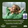 Swanson Triple Magnesium Complex 100 Capsules 400mg Each