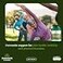 Swanson Curcumin Complex with BioPerine 120 Veggie Capsules