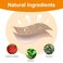 KONGDY Capsaicin Patches 40 Count Max Strength Hot Capsicum Plaster Patch