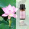 BURIBURI Lotus Peony Essential Oil Set Aromatherapy Diffuser DIY Crafts
