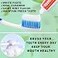 HAIFOTRVA 100 Tubes Bulk Travel Size Toothpaste0176 oz Extra Small