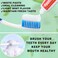 HAIFOTRVA 100 Tubes Bulk Travel Size Toothpaste0176 oz Extra Small