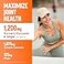 Force Factor Better Turmeric Maximum Joint Support