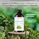 Majestic Pure Peppermint Essential Oil for Diffuser 1 Fl Oz