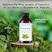 Majestic Pure Peppermint Essential Oil for Diffuser 1 Fl Oz