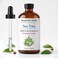 Majestic Pure Tea Tree Essential Oil for Diffuser 2 Fl Oz