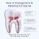 Fawelo LOL Kids Probiotic Toothpaste Nano Hydroxyapatite Xylitol Peppermint