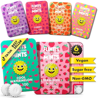 Flintts Mints Fruit Troop Dry Mouth Relief Mints Variety Pack