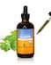 Herb Pharm Cilantro Liquid Extract Drops for Cleansing and Detoxification Support 4 Oz