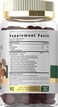 Carlyle Mushroom Complex Gummies 70 Count 10in1 Blend