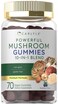 Carlyle Mushroom Complex Gummies 70 Count 10in1 Blend