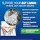 Force Factor ProbioSlim Akkermansia Prebiotics Probiotic with 1B AFUs