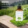 Majestic Pure Peppermint Essential Oil for Diffuser 34 Fl Oz