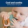 Dr. Brown's Dr Browns Aqua Cool WaterFilled Teether Green Cactus 2Pack