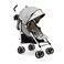Baby Delight Lightweight Swerve Stroller Grey