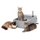 PetSafe MultiCat Litter Box
