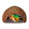 SunGrow Betta Fish Cave Habitat Made from Coconut Shell SoftTextured Smooth Edged Spacious Hideout for Resting and Breeding 1 Pc