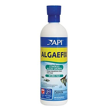 API ALGAEFIX Algae Control 16Ounce Bottle