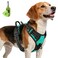 Joytale No Pull Dog Harness Medium Sized Dog Front Clip Teal