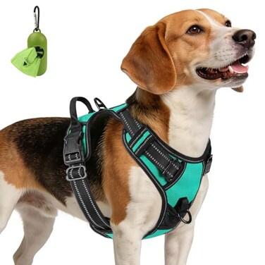 Joytale No Pull Dog Harness Medium Sized Dog Front Clip Teal