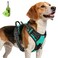 Joytale No Pull Dog Harness Medium Sized Dog Front Clip Teal
