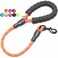 BAAPET 2456 FT Dog Leash with Comfortable Padded Handle and Highly Reflective Threads for Small Medium and Large Dogs 2FT12 Orange
