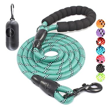 BAAPET 2456 FT Dog Leash with Comfortable Padded Handle and Highly Reflective Threads for Small Medium and Large Dogs 6FT12 Turquoise